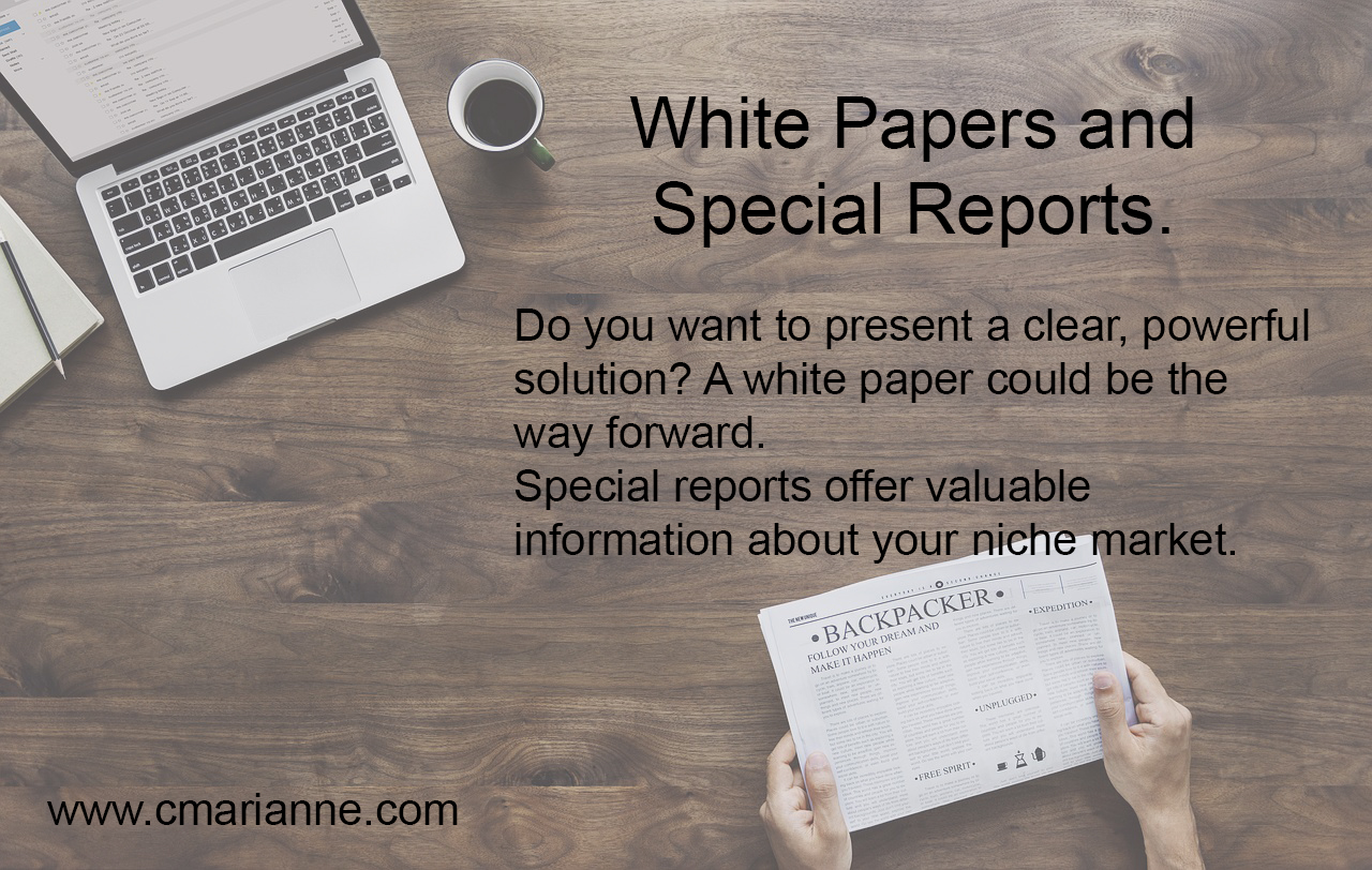 White Papers and Special Reports Add Value to Existing and Potential Clients . . . and Helps Keep You In Mind As A Great Service Provider.